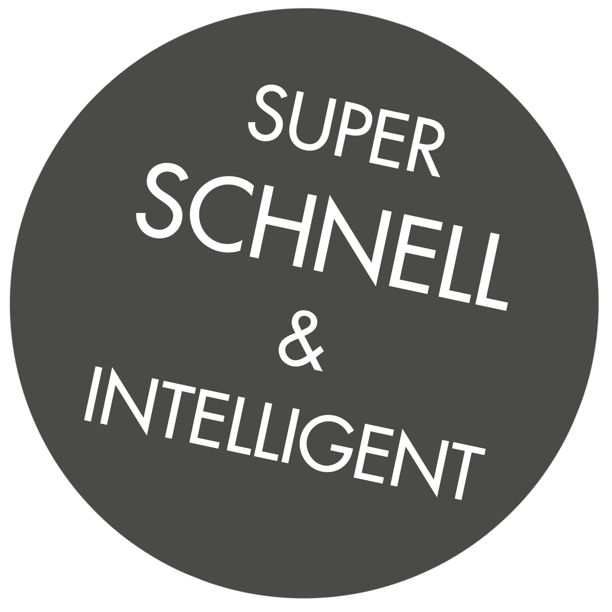 Icon_Schnell&Intelligent_Novexx_Solutions